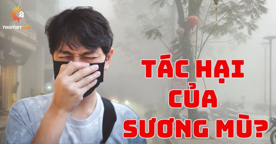 Tác hại của sương mù là gì? Ứng phó như thế nào đảm bảo an toàn